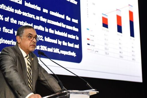 هيئة الاستثمار : إطلاق منصة إلكترونية لوحدة دعم أنشطة ريادة الأعمال قريبا