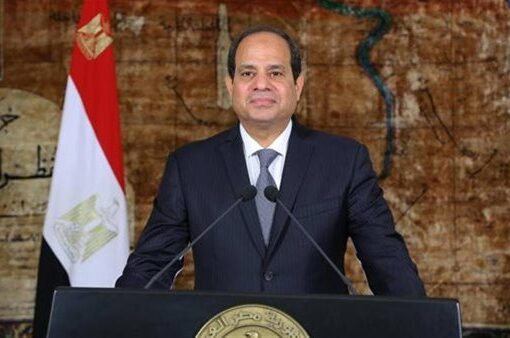 مصر والنرويج تتفقان على عقد مشاورات سياسية منتظمة لتعزيز الشراكة