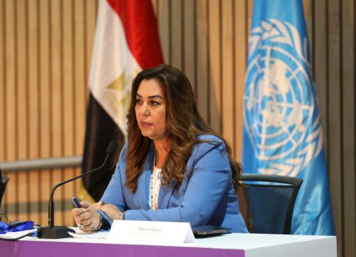 وزيرة التنمية المحلية تعلن تعيين 84 رئيس حي ومركز ومدينة في 24 محافظة ضمن حركة المحليات الجديدة