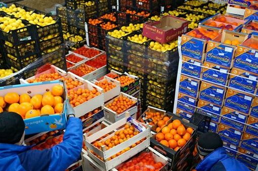 ارتفاع صادرات مصر الزراعية إلى 8.6 مليون طن خلال عام 2024