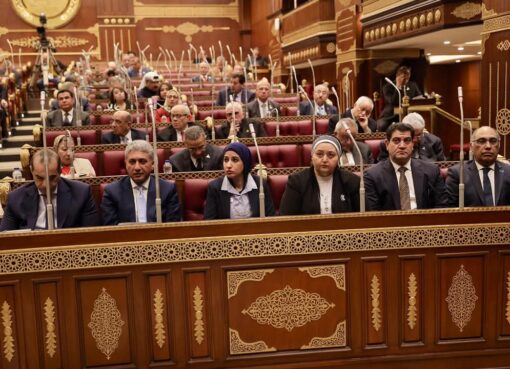 وزير السياحة والآثار يشارك في الجلسة العامة لمجلس الشيوخ