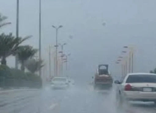 الطقس اليوم الخميس 30 يناير 2025.. شبورة كثيفة وأجواء شديدة البرودة ليلا