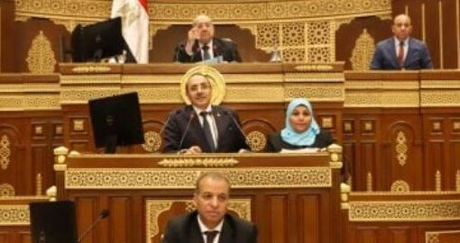 مجلس الشيوخ يناقش خطة الحكومة لرفع كفاءة قطاع التأمين وتسريع التحول الرقمى