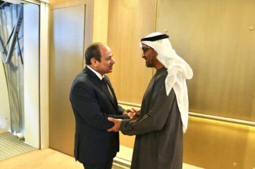 الرئيسان المصري والإماراتي يؤكدان ضرورة إدخال المساعدات الإنسانية بالكميات الكافية لأهالي غزة