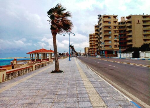 الطقس اليوم الخميس 13-2-2025.. أجواء شديدة البرودة ليلا والصغرى بالقاهرة 10