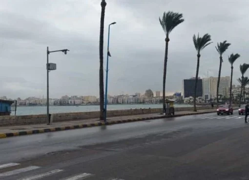 الطقس اليوم الخميس 6-2-2025.. حالة عدم استقرار وأمطار بهذه المناطق