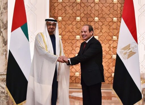 اقتصادي يشيد بالعلاقات الثنائية بين مصر والإمارات في عهد السيسي