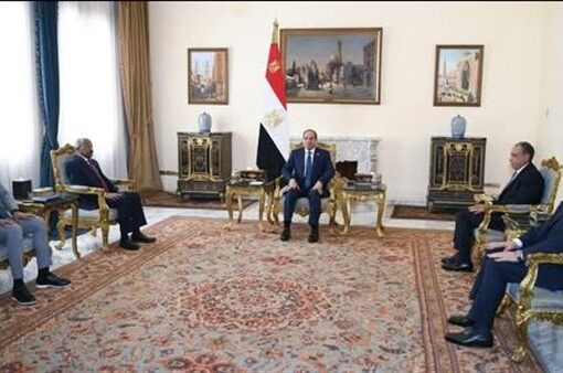 الرئيس السيسى يستقبل وزير خارجية إريتريا ويؤكدان دعم الصومال في مكافحة الإرهاب