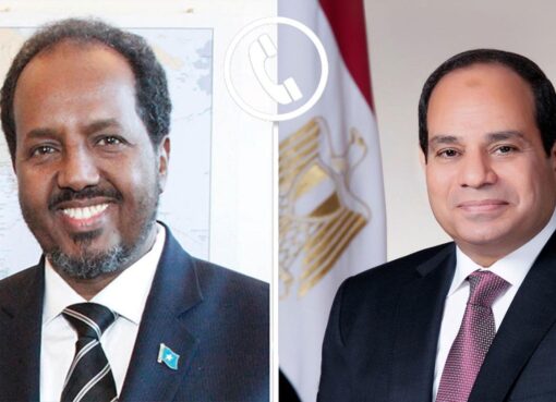 السيسي يؤكد التزام مصر بدعم مساعي الحكومة الصومالية لمكافحة الإرهاب الرئيس السيسي