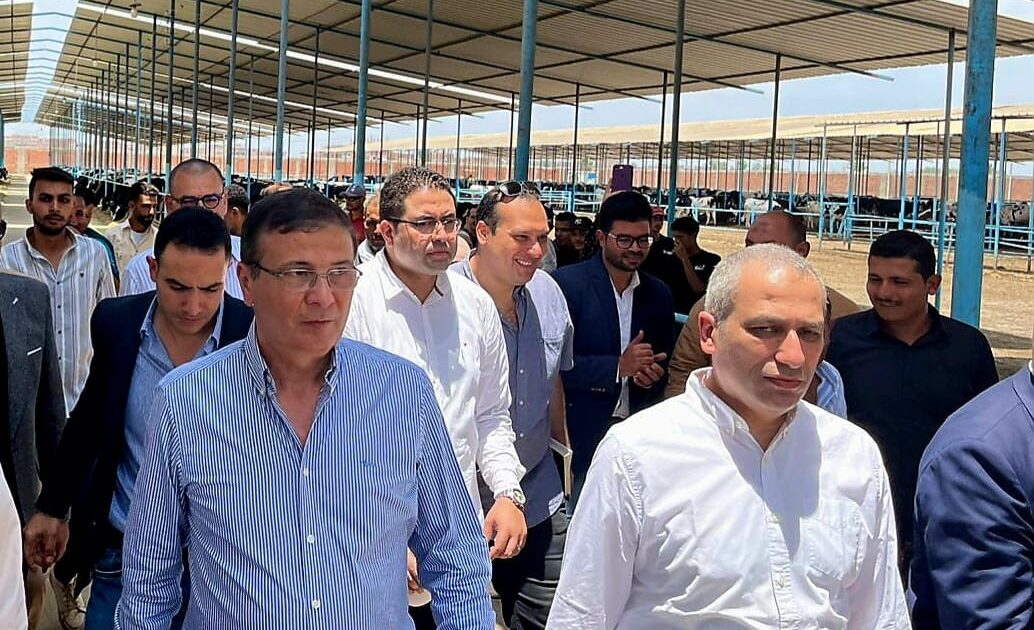 البنك الزراعي المصري يمول شراء 2000 رأس ماشية بقيمة 395 مليون جنيه لصالح 188 من صغار المربين بالشرقية