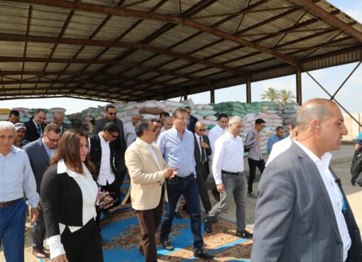 وزير الزراعة ومحافظ الشرقية ورئيس البنك الزراعي يتابعون أعمال تسليم القمح في شون البنك بالشرقية وزير الزراعة ومحافظ الشرقية ورئيس البنك الزراعي يتابعون أعمال تسليم القمح في شون البنك بالشرقية