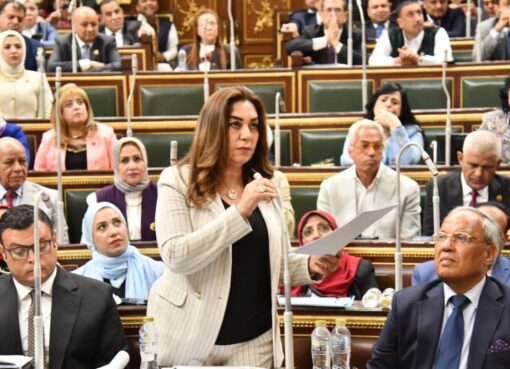 وزيرة التنمية المحلية: سلمنا مجلس النواب بيانًا تفصيليًا بقطع الأراضي الصالحة لمشروعات الإسكان في مختلف المحافظات