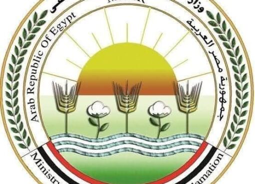 “الزراعة” تطلق 214 قافلة بيطرية مجانية في 176 قرية خلال يونيو الماضي