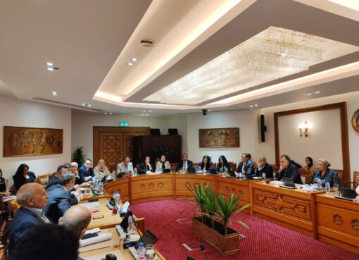 انعقاد اللجنة الدائمة لمتابعة العلاقات المصرية الإفريقية