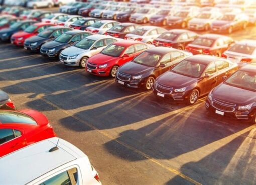 حصيلة مزاد جمارك بورسعيد ودمياط 7 أغسطس: 39.3 مليون جنيه